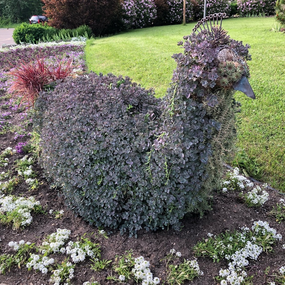 Meet your Posher, Roxanne